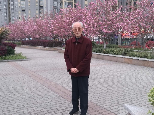 点击放大